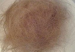 Hair loss from chemotherapy