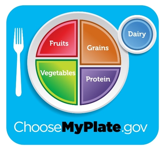 photo of healthy divided plate