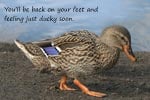 Get Well (Duck)